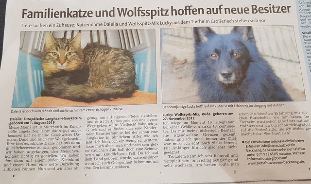 Tiere suchen ein Zuhause BKZ Backnang