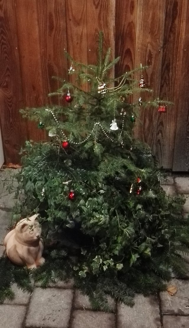 Liebevoll dekorierter Weihnachtsbaum Eingang