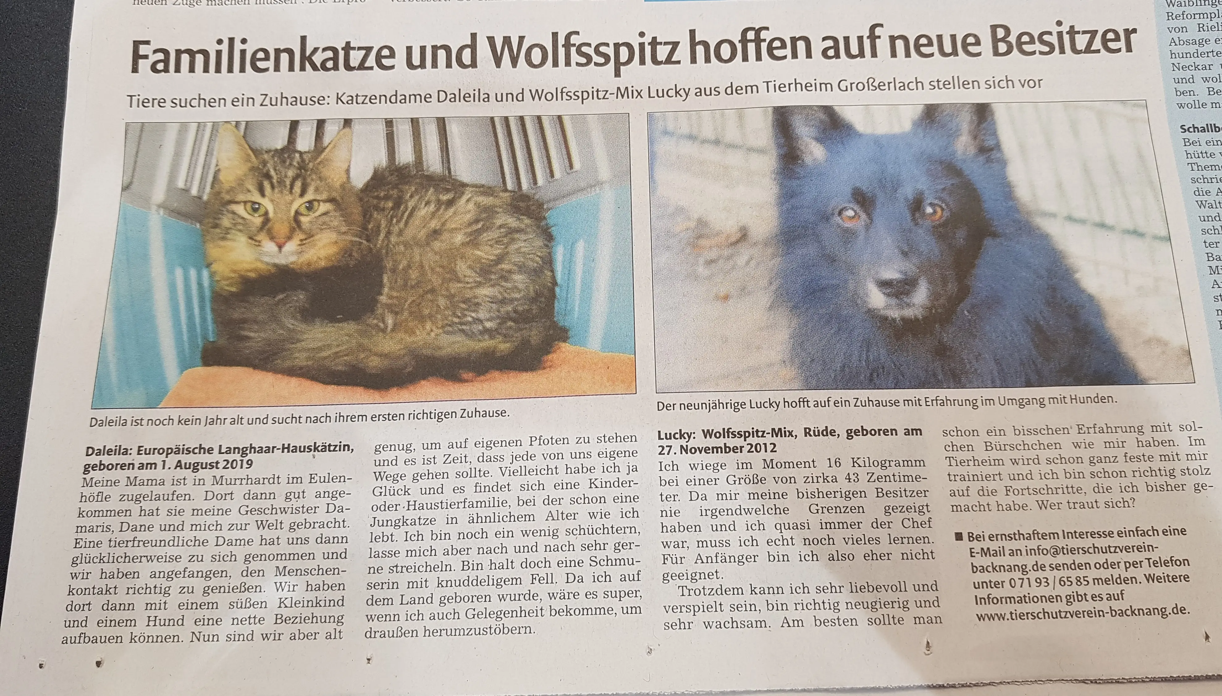 Zeitungsbericht in der Backnanger Kreiszeitung