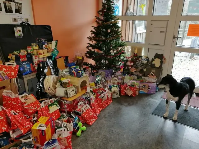 Weihnachtswunschbaum Aktion Fressnapf Schwäbisch Hall