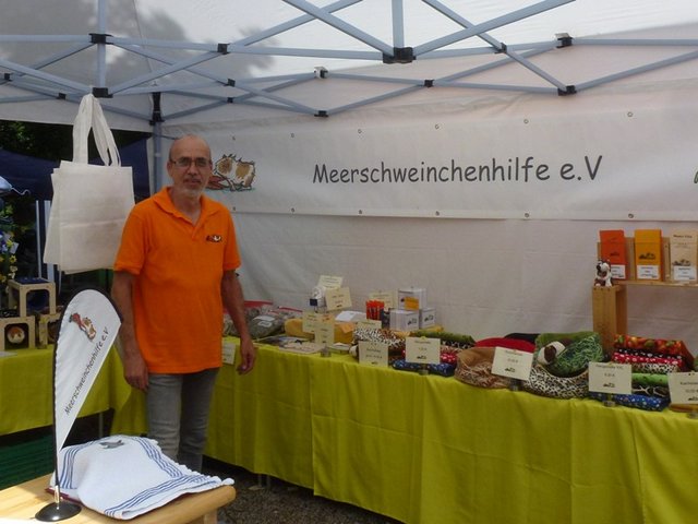 Meerschweinchenhilfe