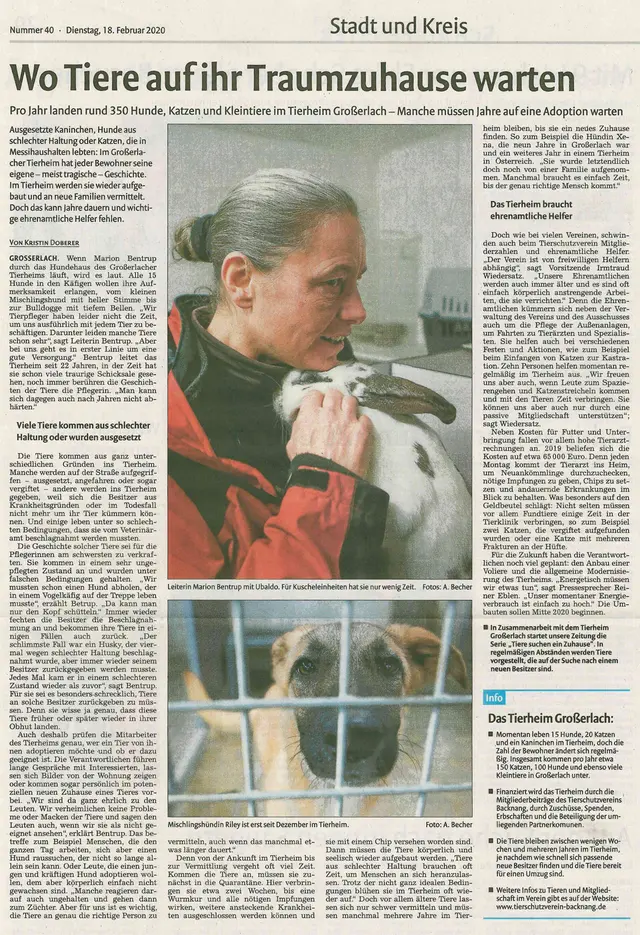 Bericht in der Backnanger Kreiszeitung über das Tierheim Großerlach